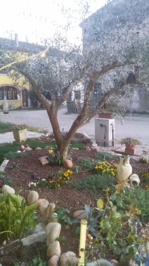 B&B Peschi In Fiore Валеджо-суль-Минчо Экстерьер фото